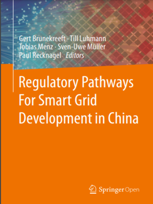 cover image of Regulatory Pathways For Smart Grid Development in China